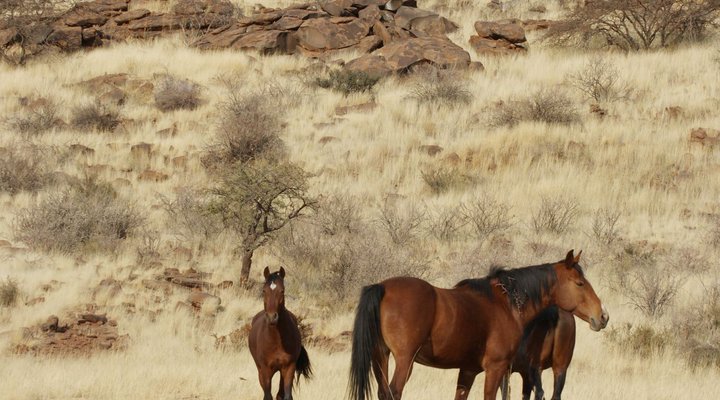 Namseb Lodge