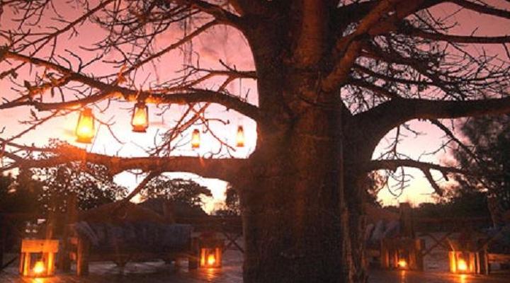 Bawe Tropical Island