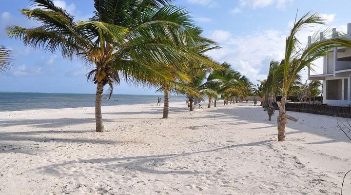 St. Thomas Royal Palm Watamu