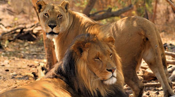 Colin’s Horseback Africa