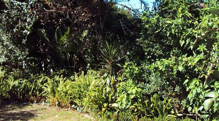 Ash and Broc Cottage