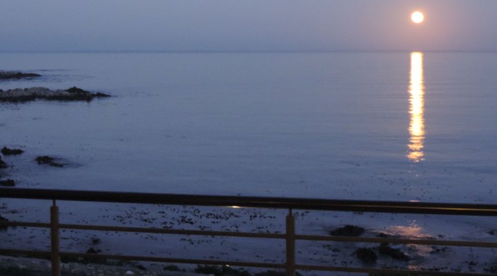 Whale Cove Self-catering