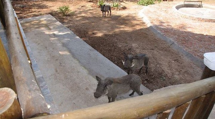 Amadube Lodge