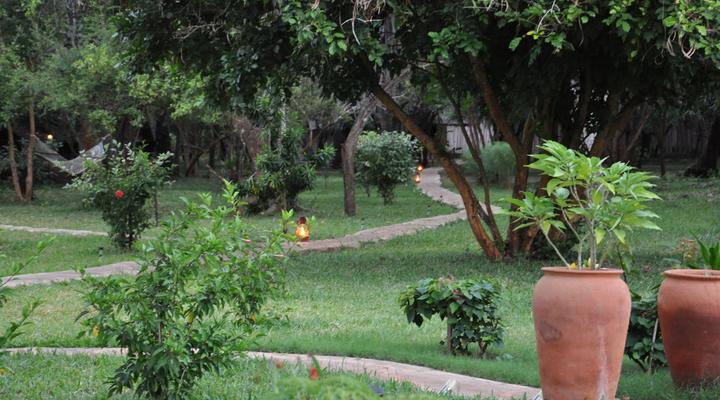 Funzi Mangrove Resort