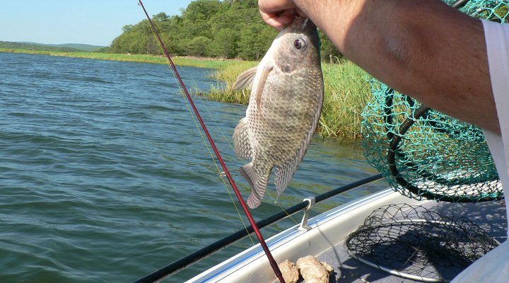 Le Bonka Fishing Lodge - Marula