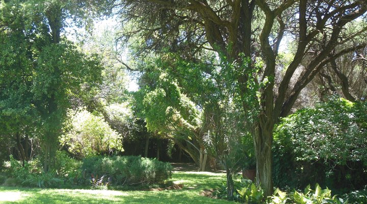 The Nutshell Guesthouse