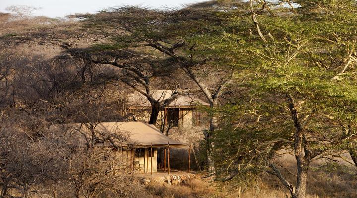 Mwiba Tented Camp