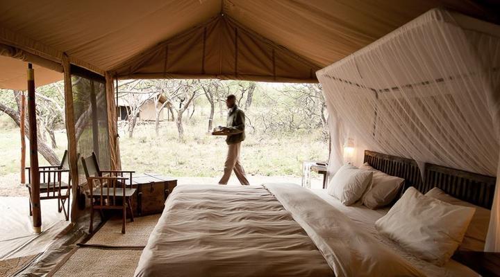 Mwiba Tented Camp