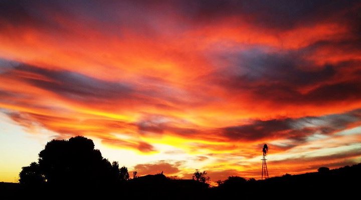 Wilgerfontein Private Game Farm