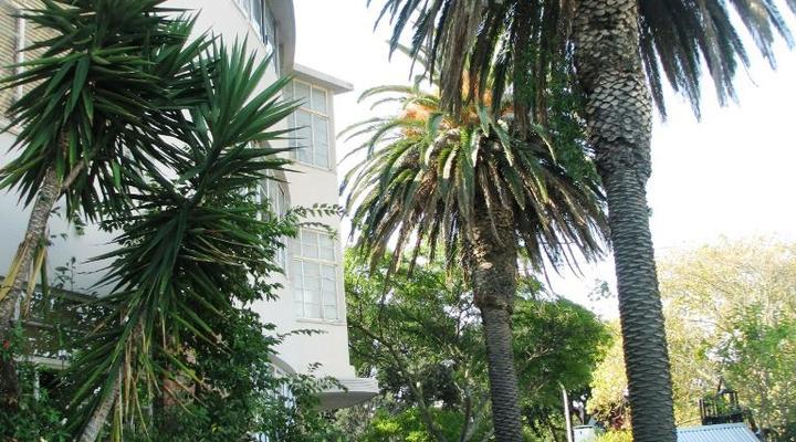 11 Herschel Court Studio