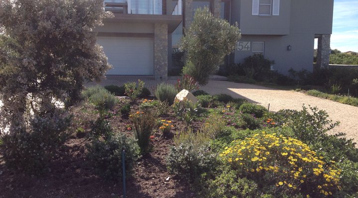 Whale Rock Ridge North View