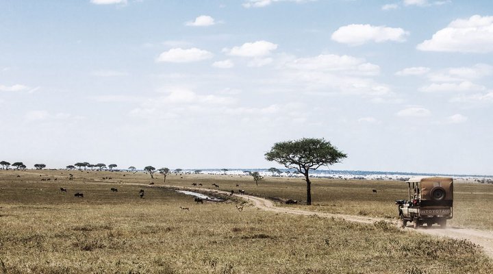 Legendary Serengeti Camp
