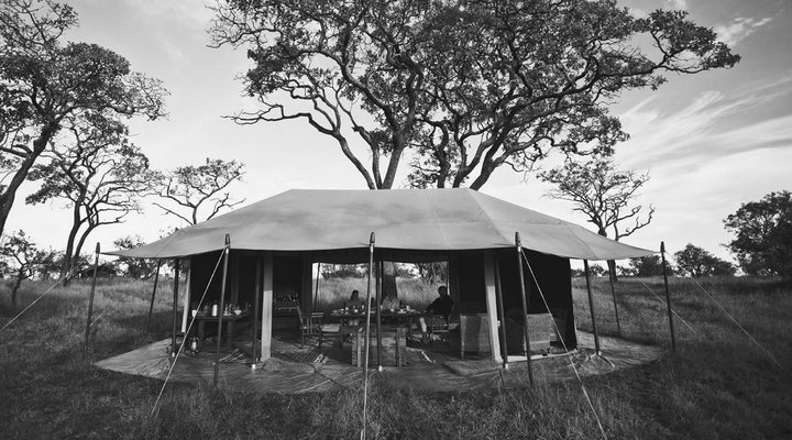 Legendary Serengeti Camp