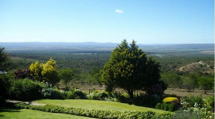 Olivewoods Bed and Breakfast