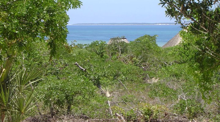 Vilanculos Beach Chalet