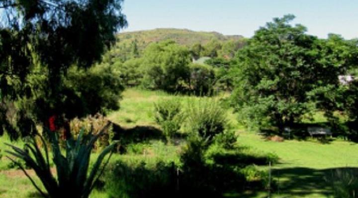 Bluegum Cottage @ The Garlic House