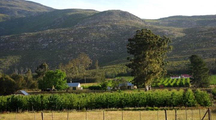 Grootnek Guest Farm