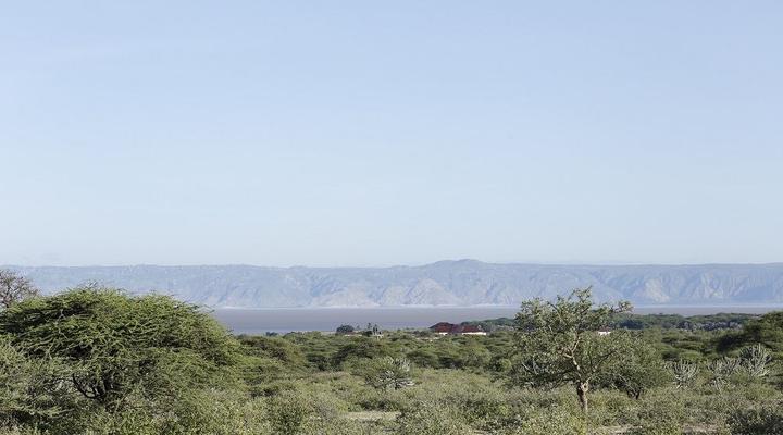 Lake Eyasi Safari Lodge