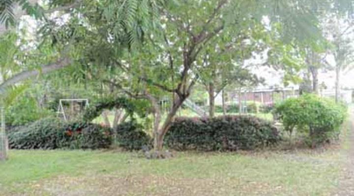 Meserani Oasis Lodge