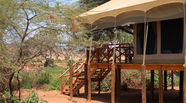 Elephant Bedroom Camp