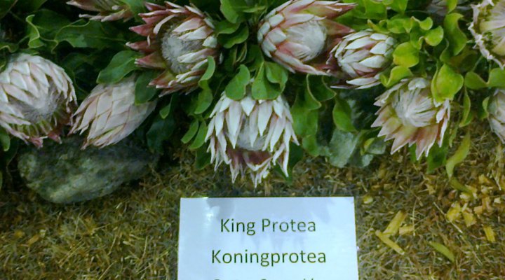 Kate’s Country Kitchen Accommodation