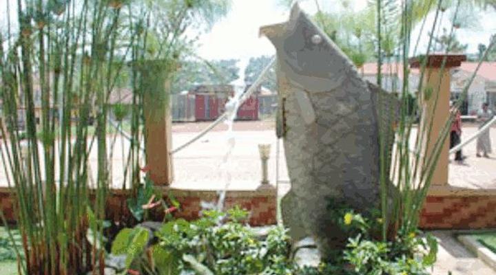 Victorious Perch Hotel