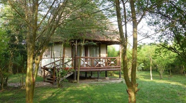 Ishasha Jungle Lodge