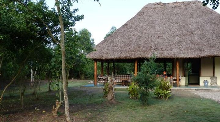Ishasha Jungle Lodge