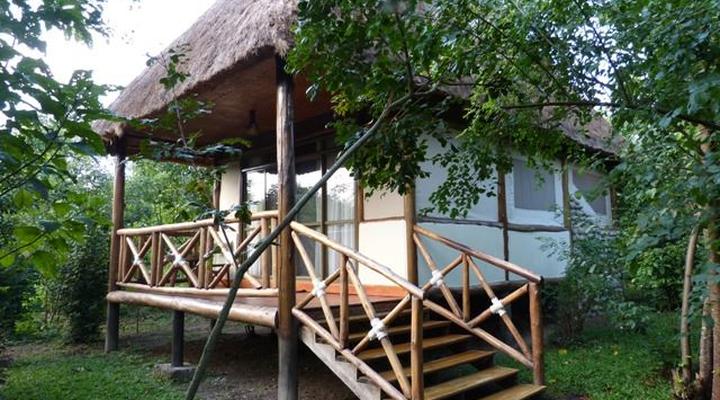 Ishasha Jungle Lodge