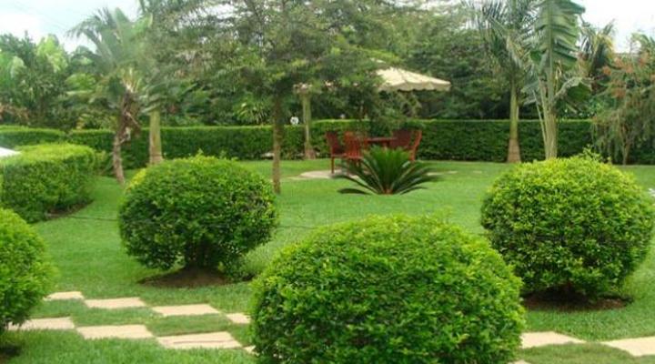 Charity Hotel International