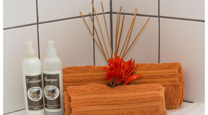 Leopards and Louries Bush Lodge