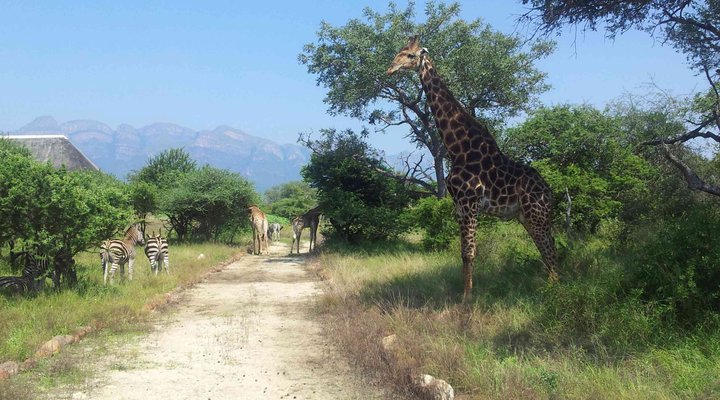 House 17 Blyde Wildlife Estate