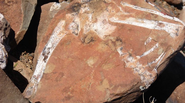 Spreeufontein Guest Farm