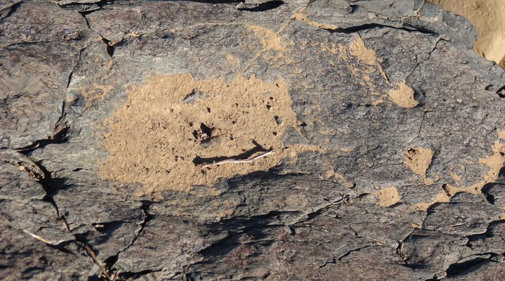 Spreeufontein Guest Farm