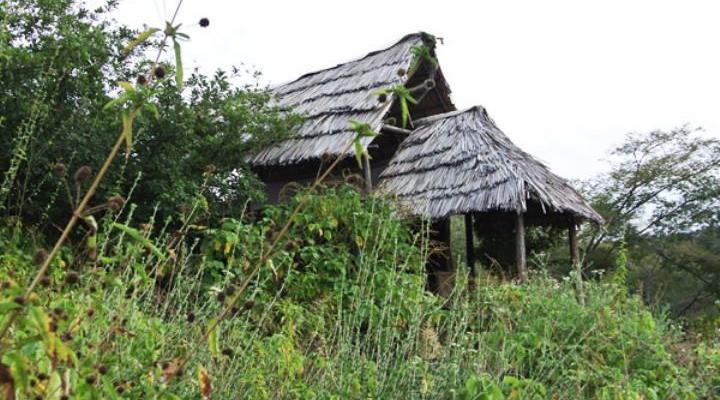 Lake Manyara Bush Camp