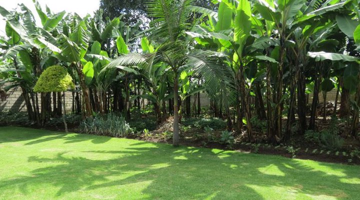 Kundayo Serviced Apartments Lodge