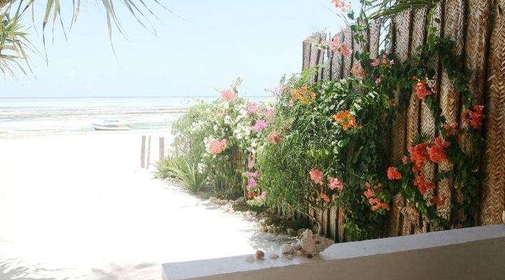 Simba Beach Zanzibar