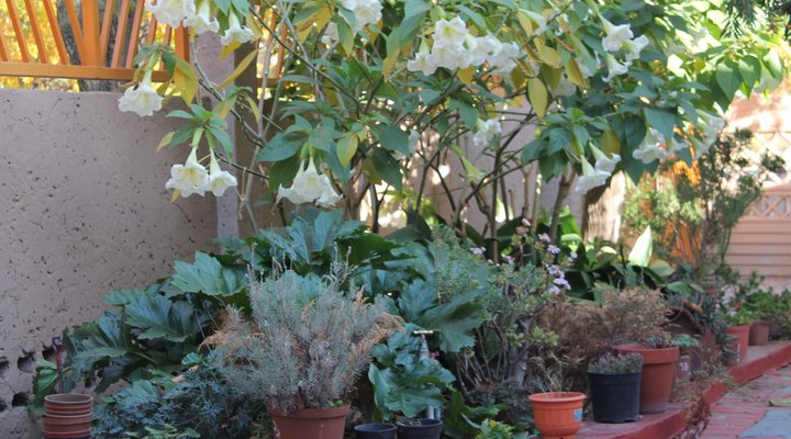 Mohlongwafatshe Guest House