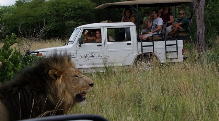 The Bush Camp at Welgedacht