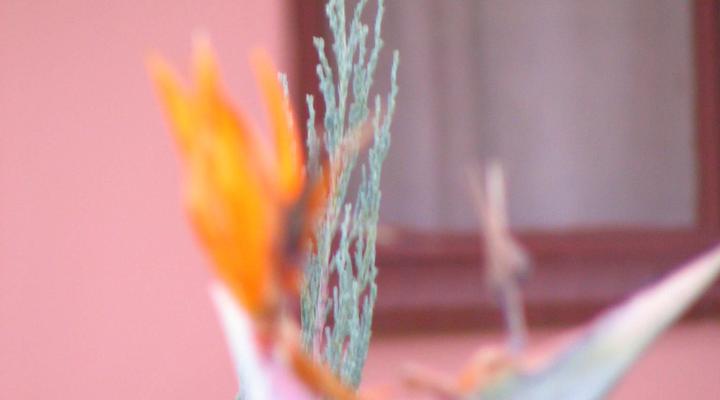 Ulundi Phumzinyawo Lodge