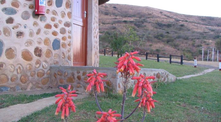 Ulundi Phumzinyawo Lodge