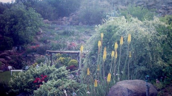 Guinea-fowl Guest House