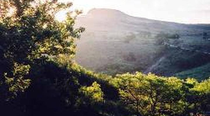 A Stone's Throw Bed & Breakfast