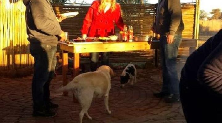 Platteland Gastehuis