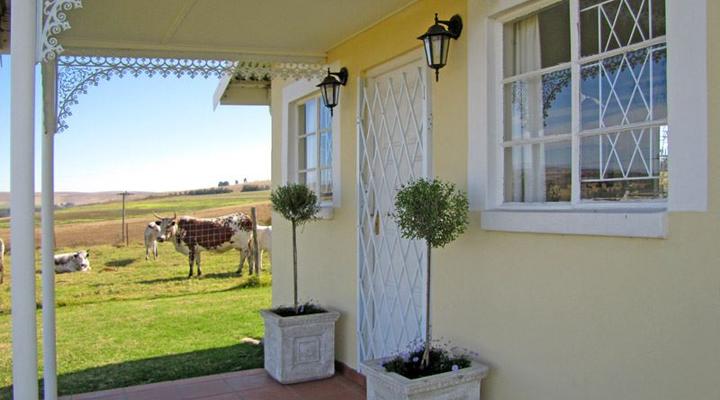 Wynnholme Stud Self Catering