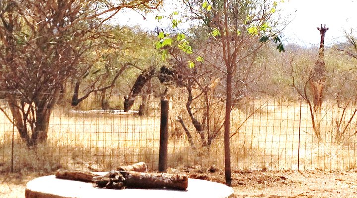 Cosy African Bush-cabin Retreat