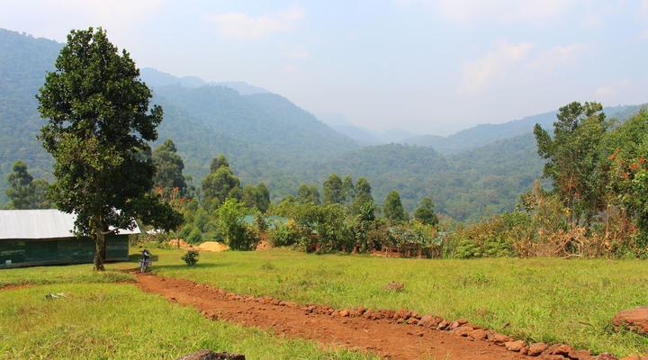 Gorilla Conservation Camp