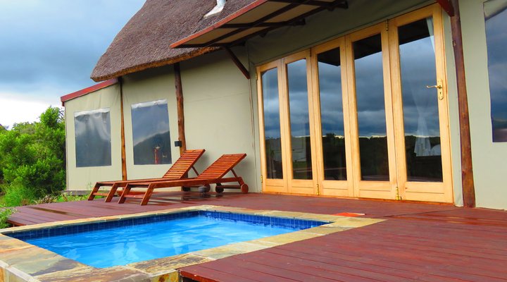 The Bush Lodge - Amakhala Game Reserve