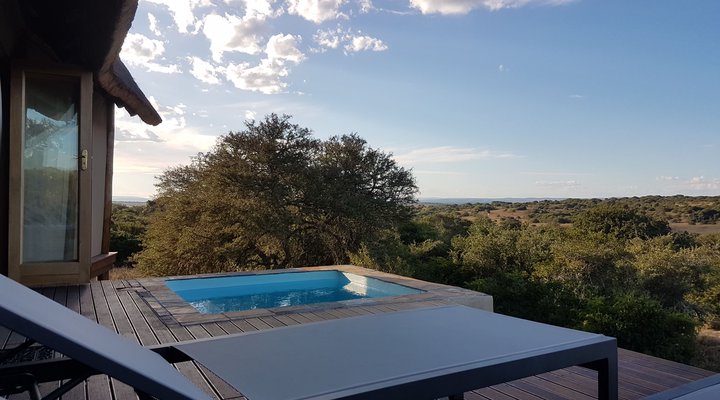 The Bush Lodge - Amakhala Game Reserve