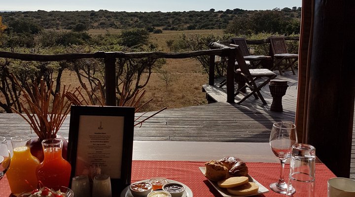 The Bush Lodge - Amakhala Game Reserve